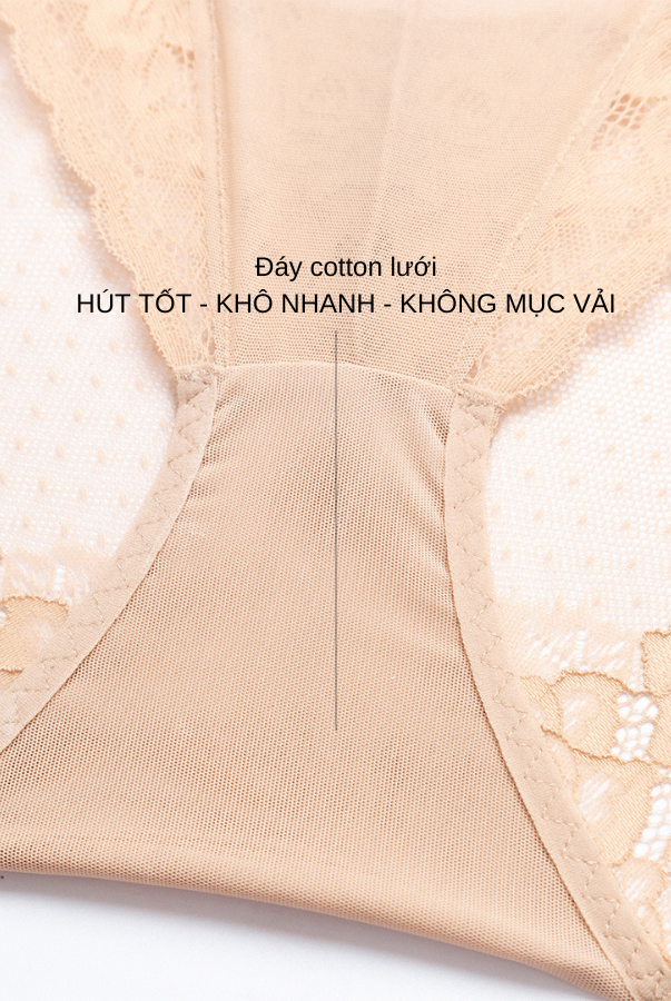 Quần Lót LOC PREMIUM Bikini Lưng Vừa V Tuyết Liên - Hồng