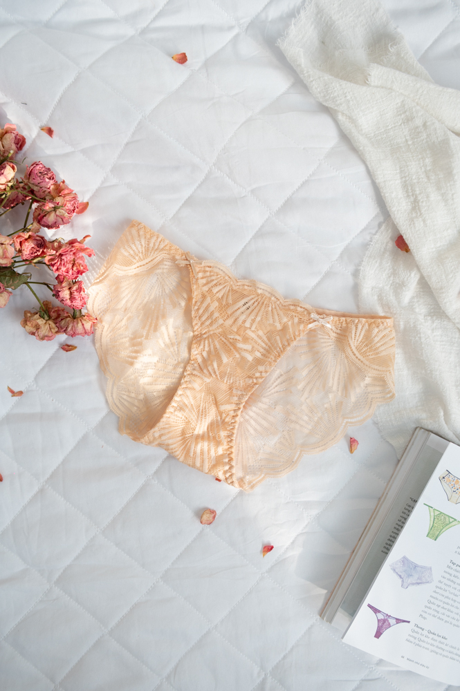 Quần Lót LOC Bikini Lưng Vừa 01  -  Hoàng Dương 