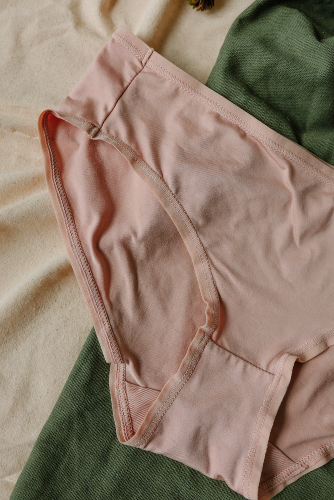 Quần Lót LOC Bikini Lưng Vừa Cotton Thun Lạnh - Da