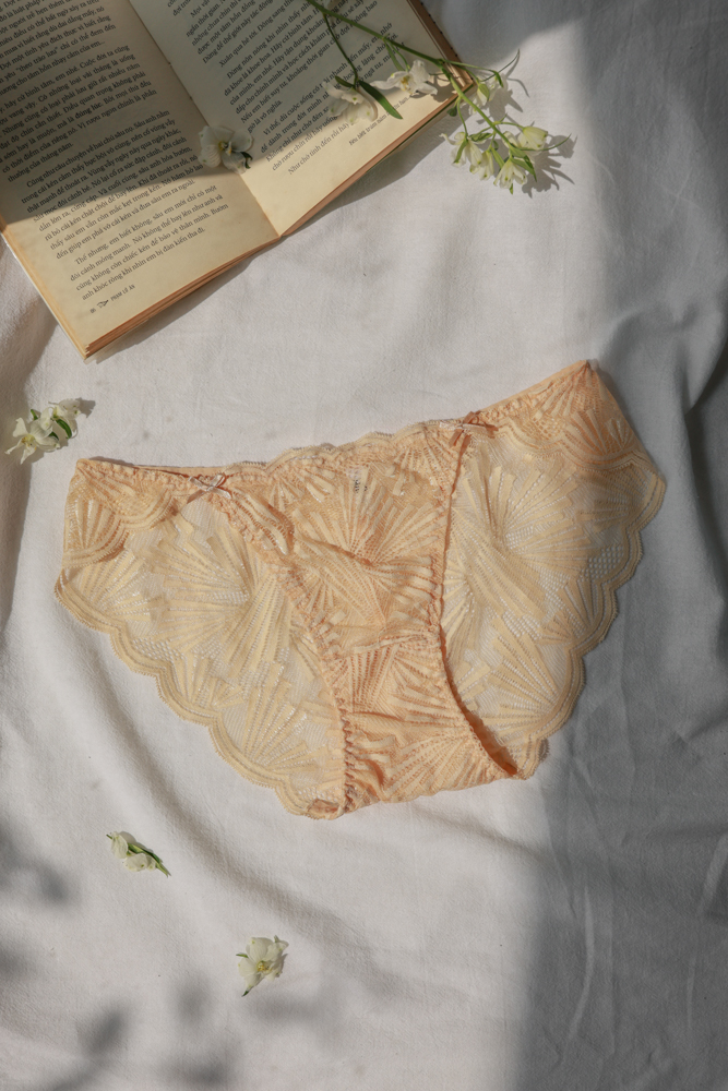 Quần Lót LOC Bikini Lưng Vừa 01  -  Hoàng Dương 