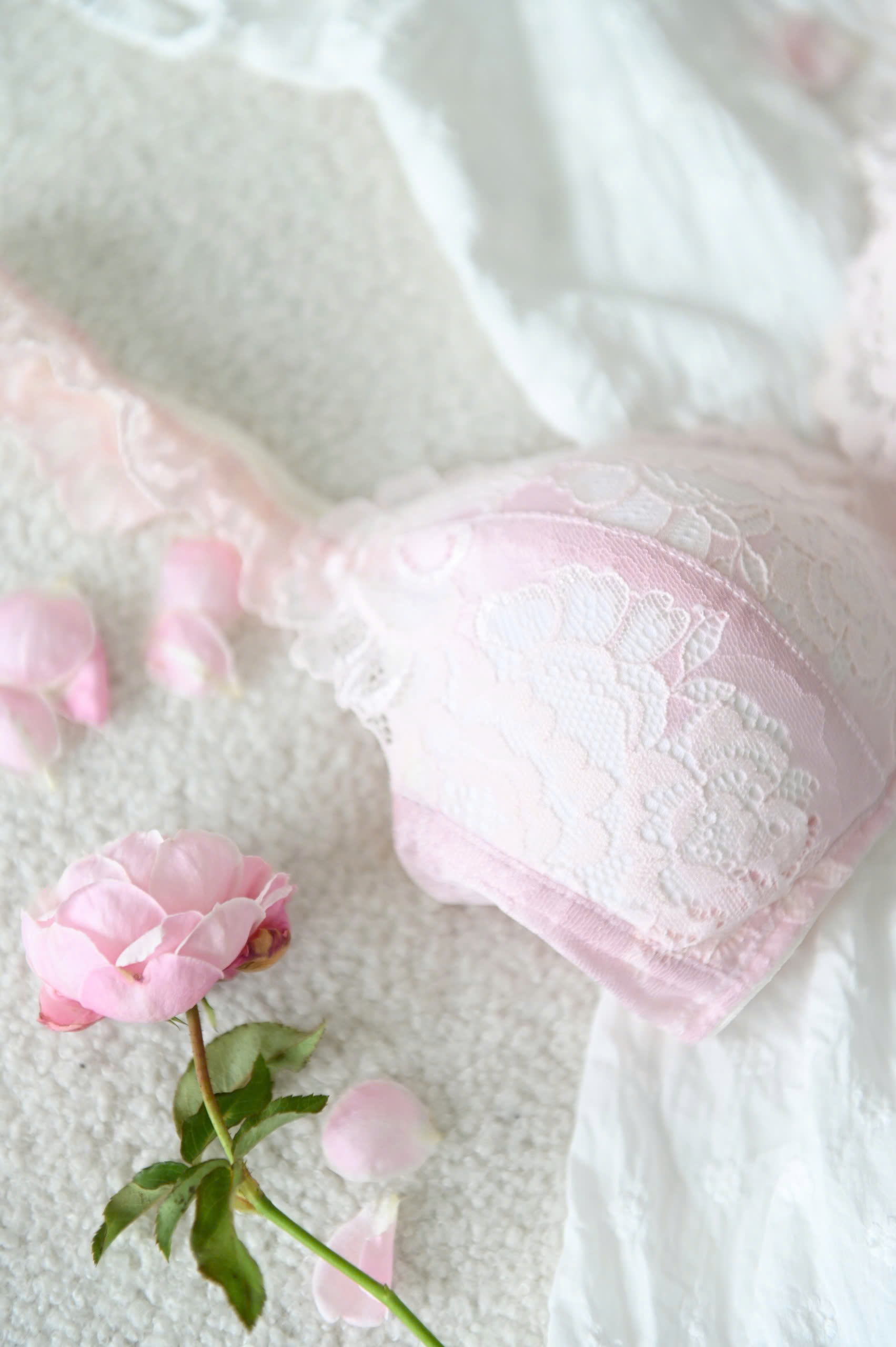 Áo Ngực LOC Basic Kim Thiền Mút Liền - Hương Dương